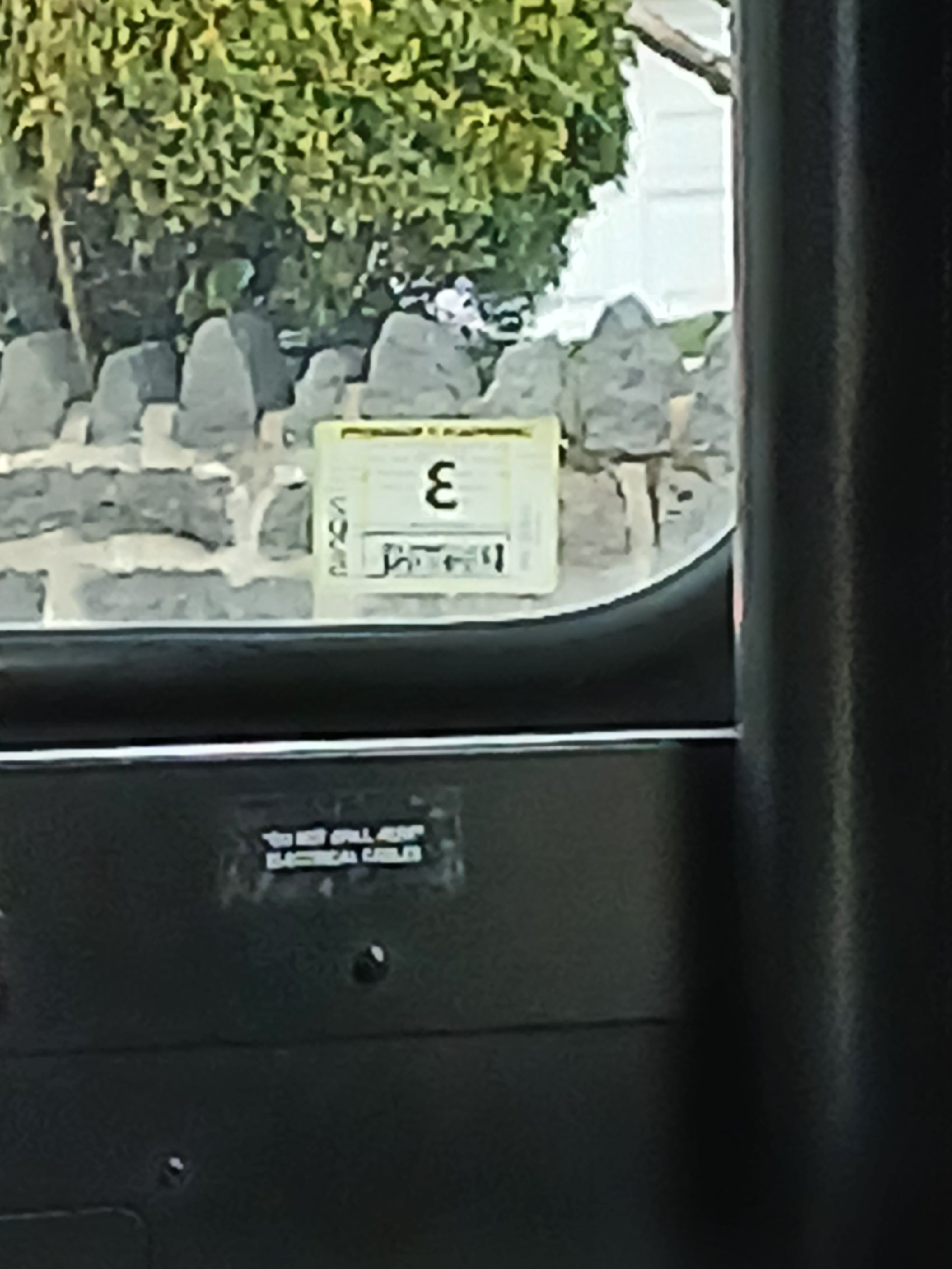 1000002162.jpg