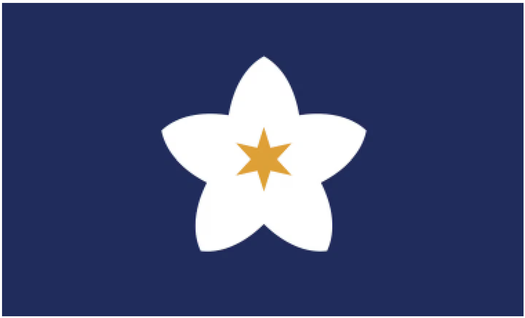 1756419619468.png