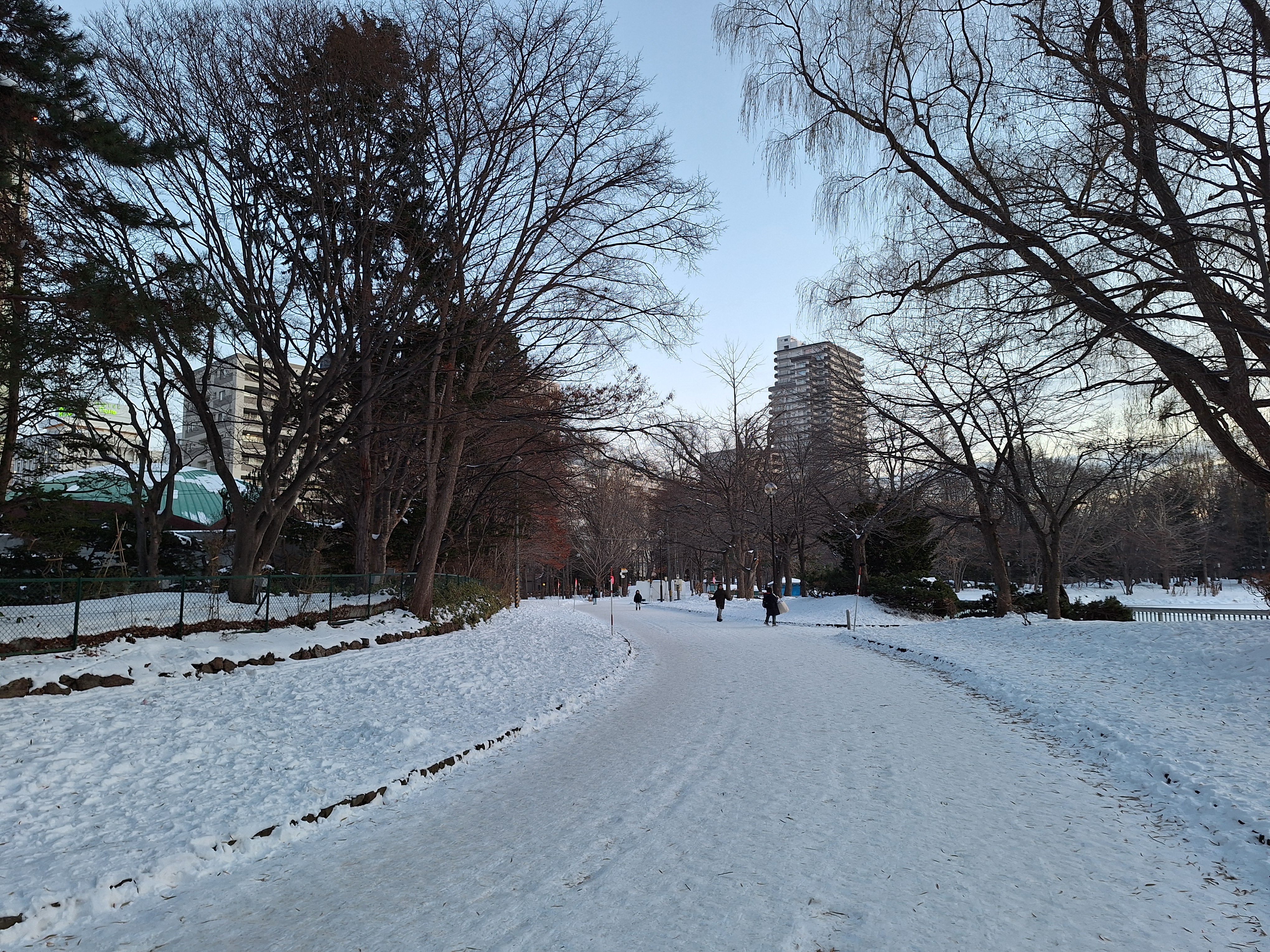 20241222_160540.jpg