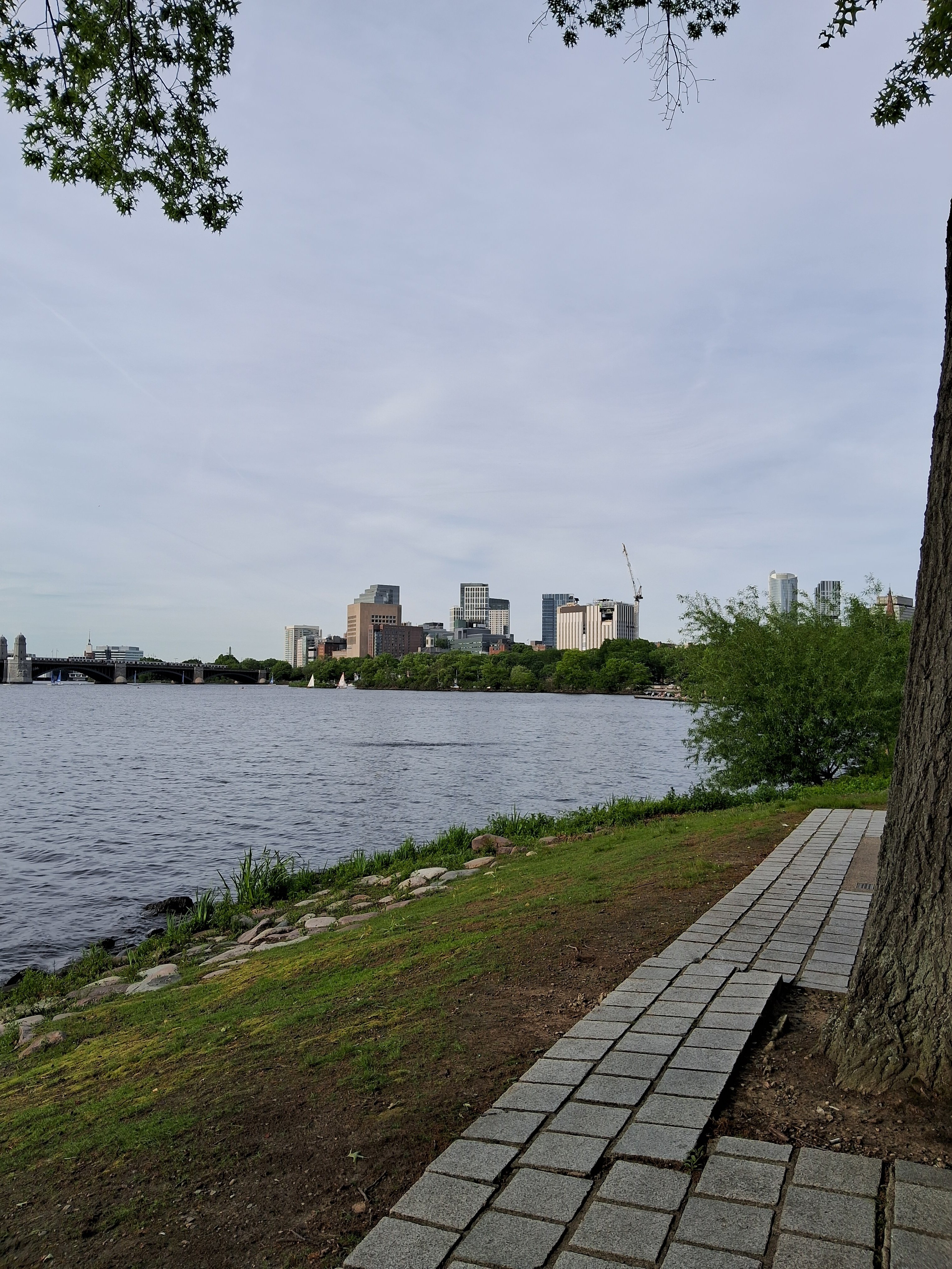 20250528_180959.jpg