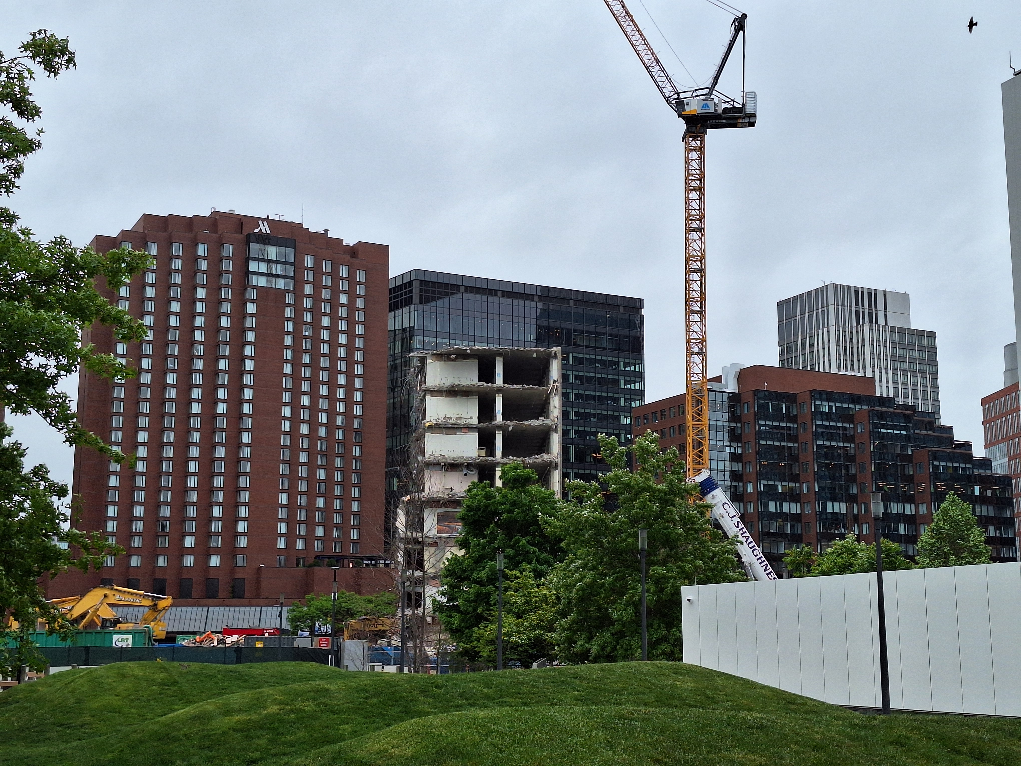 20260524_092349.jpg