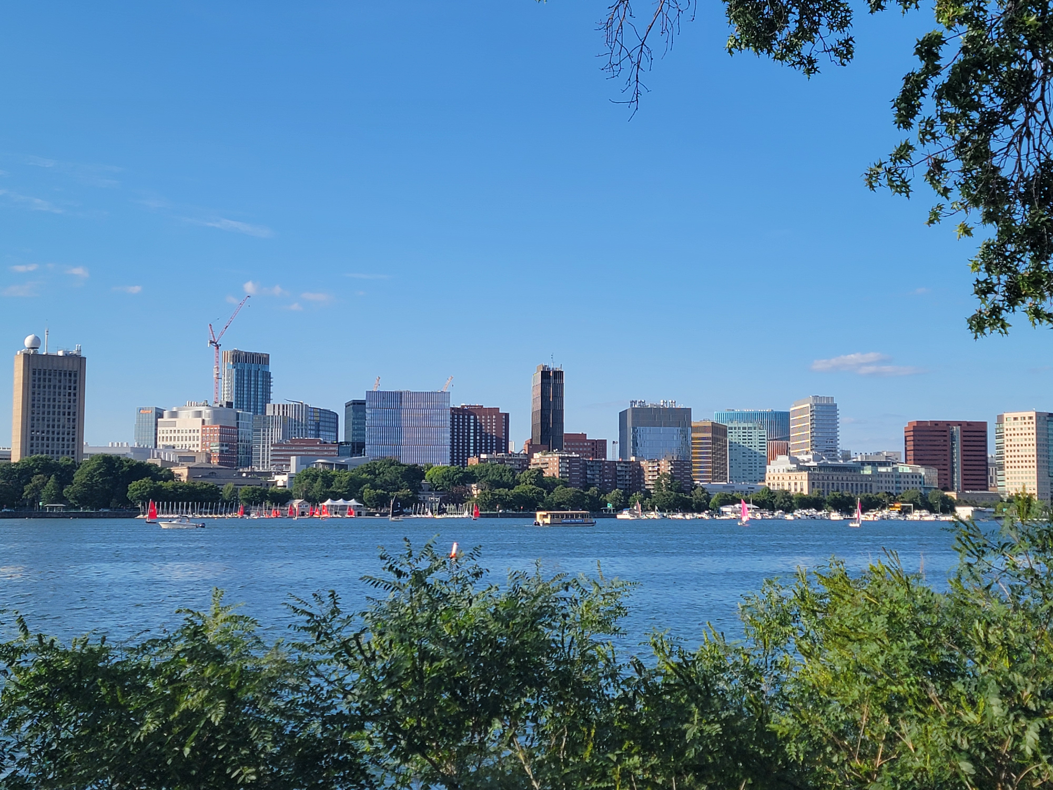 20260819_173151.jpg