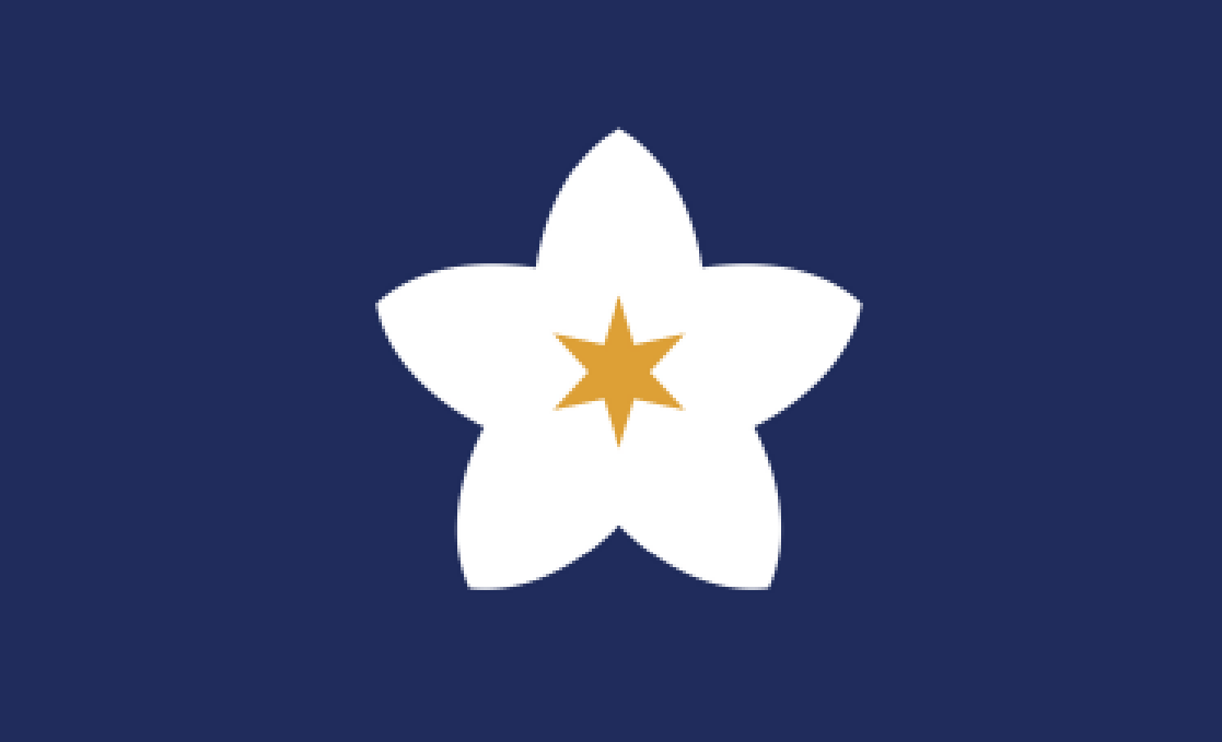 a5.png