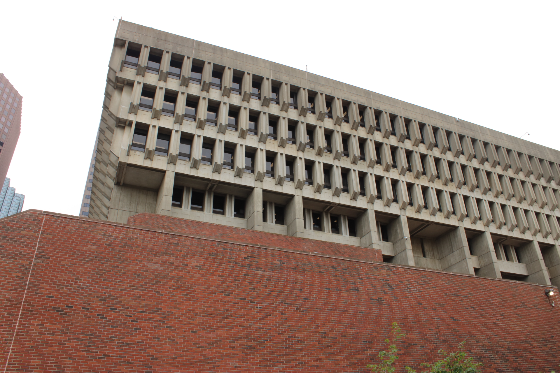 BOS_BARB005.JPG