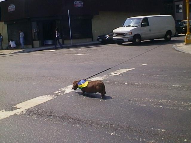 Brasil05.JPG