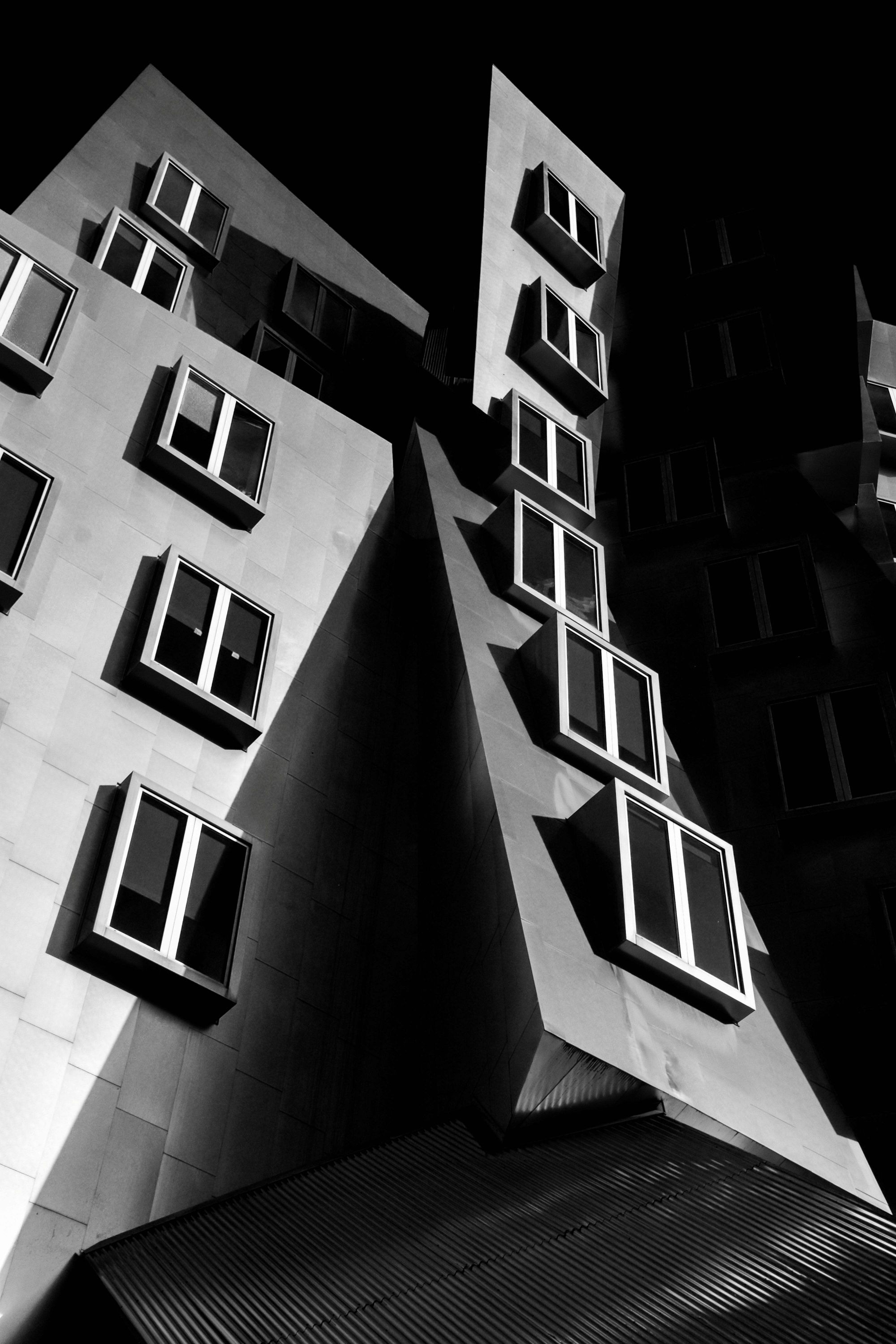 DSC_3604-2r2-2.jpg