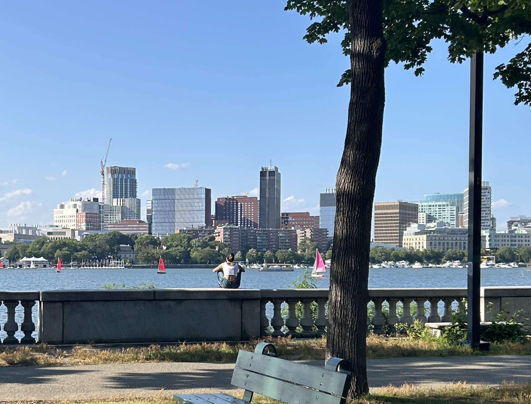 IMG_1318.jpeg