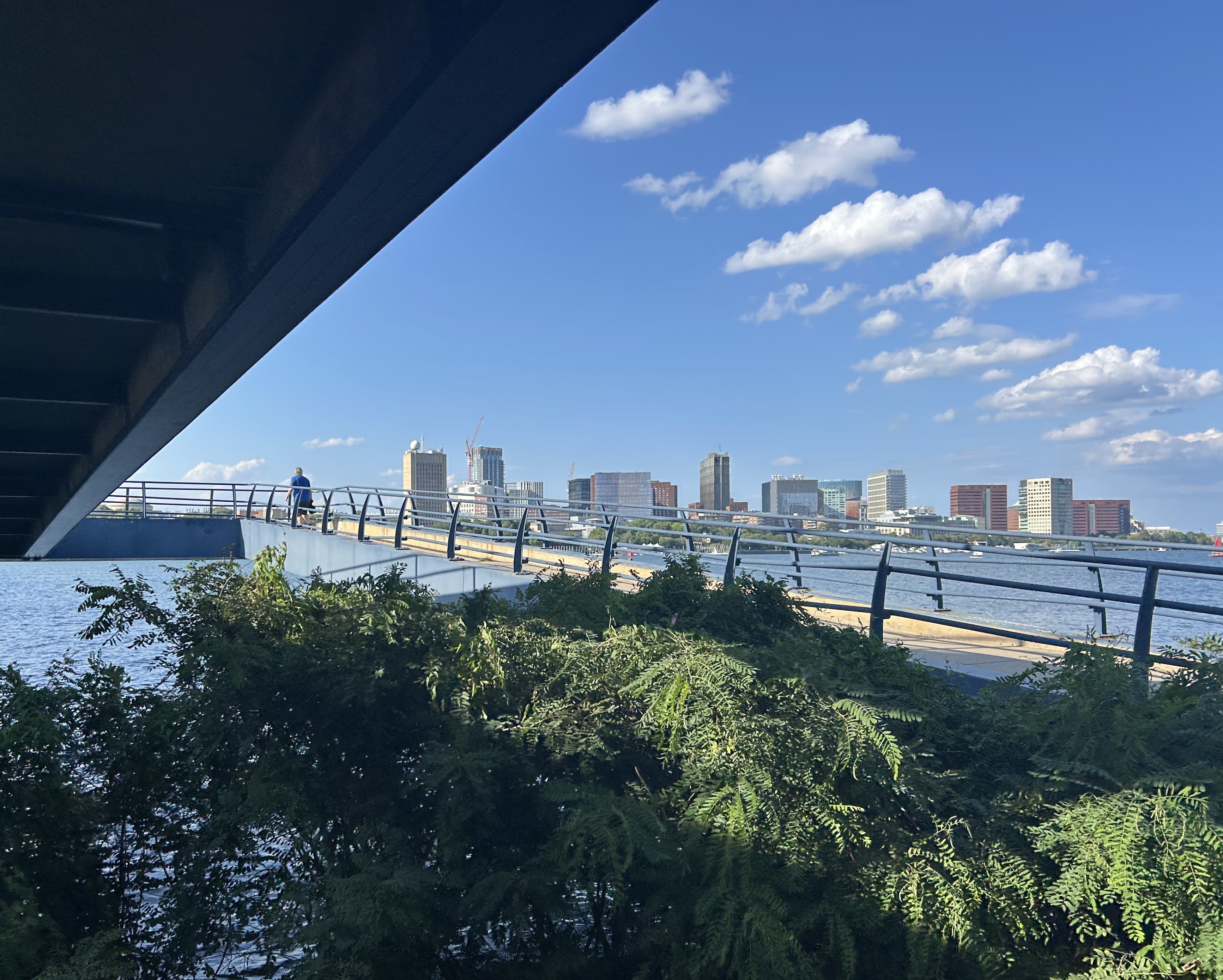 IMG_1328.jpeg