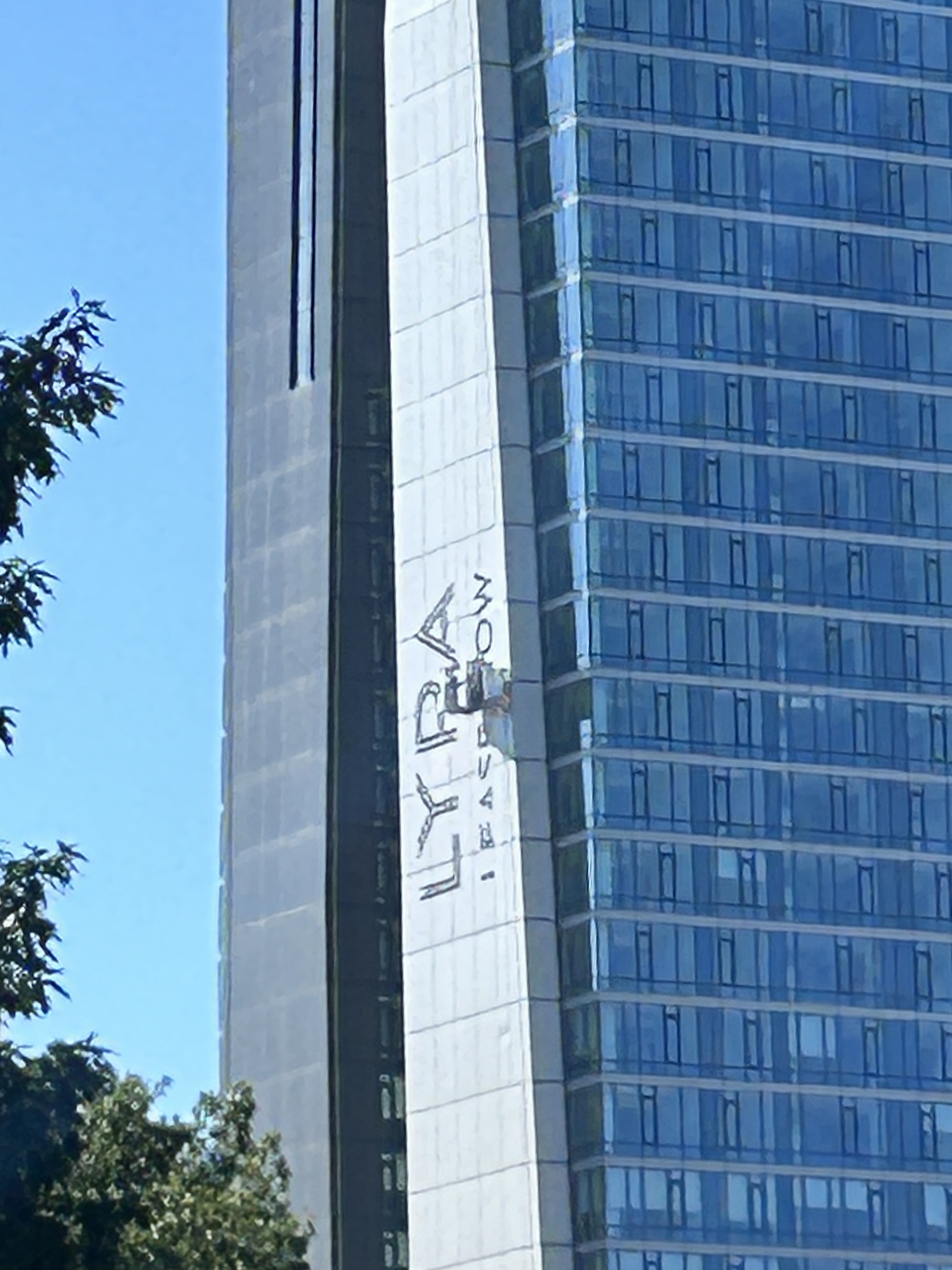 IMG_1371.jpeg