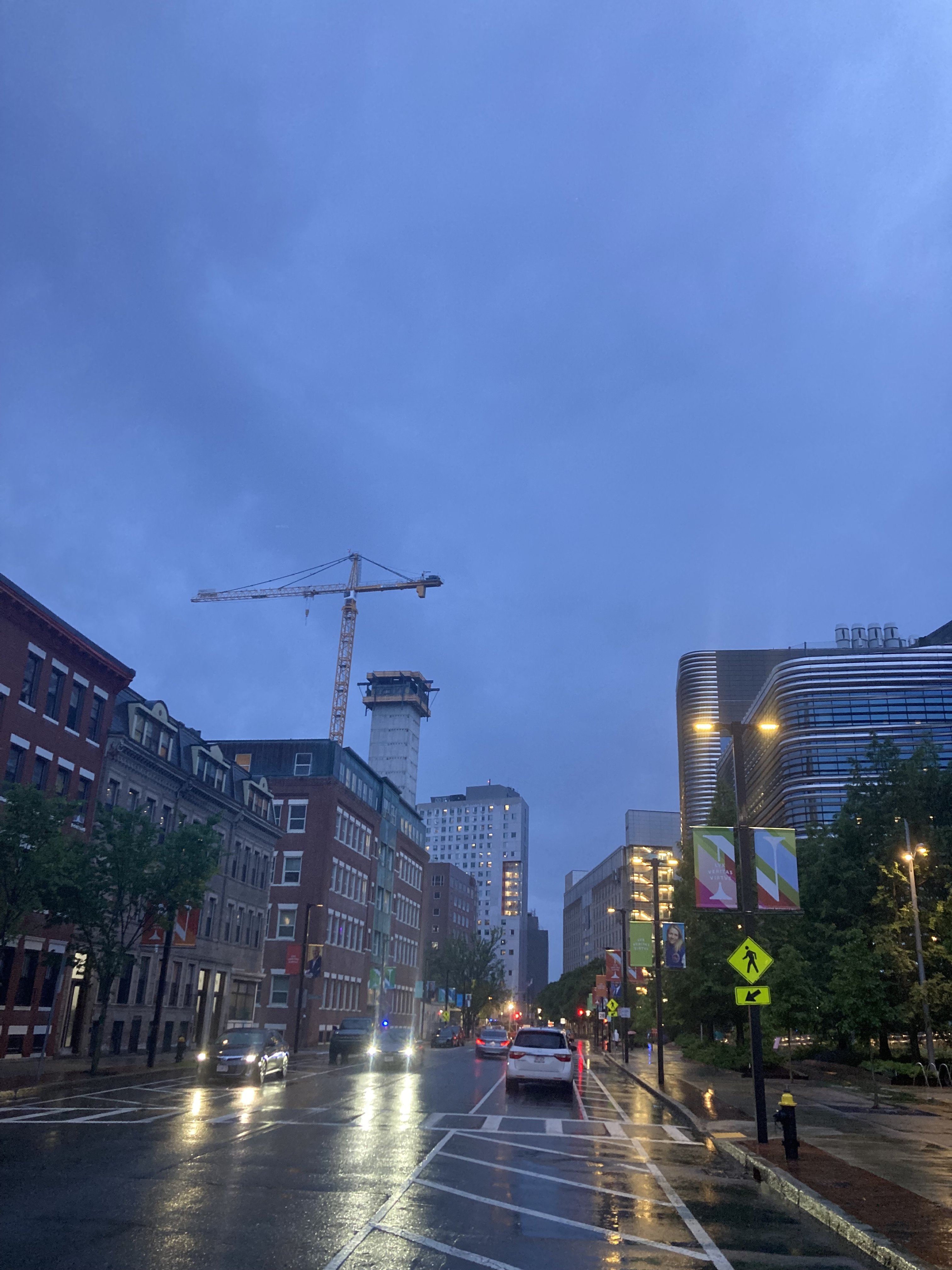 IMG_2195.jpeg