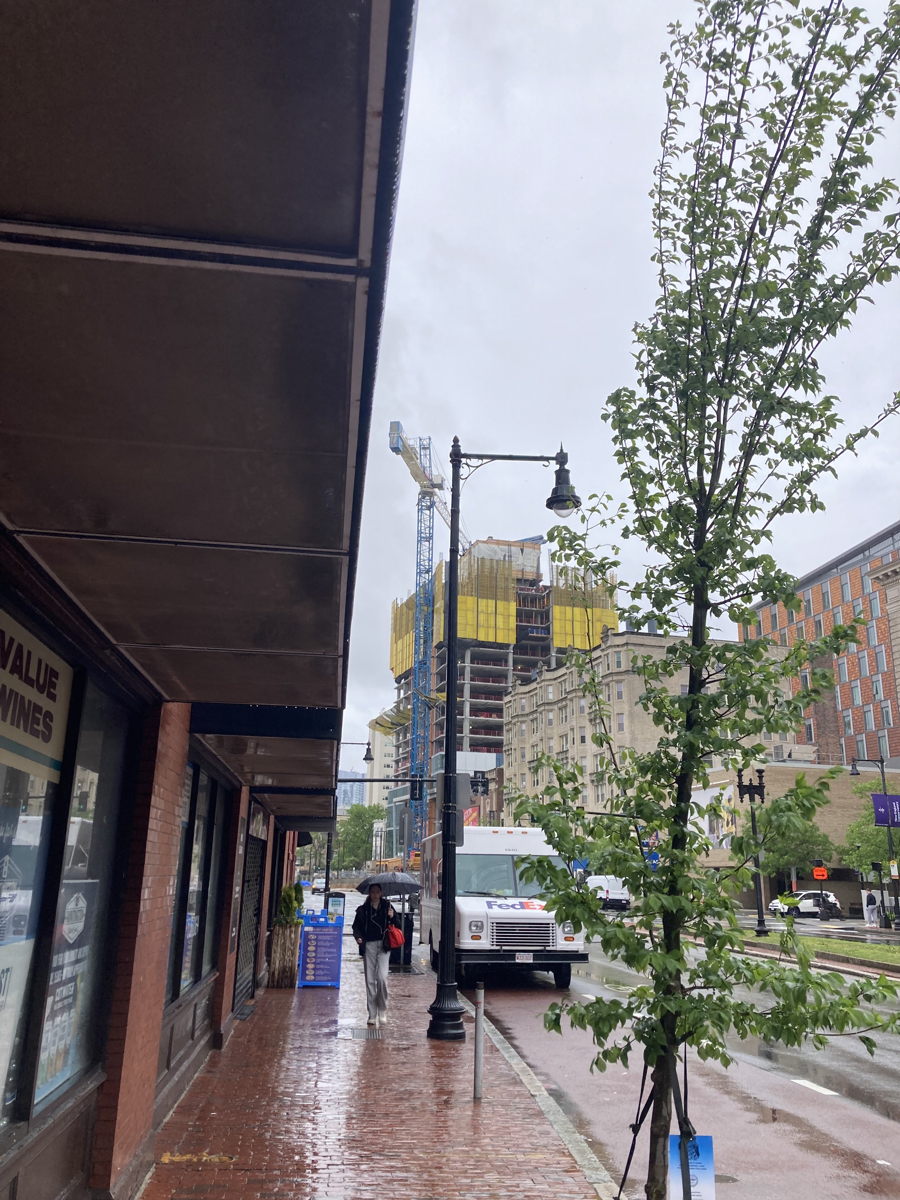 IMG_2719.jpeg