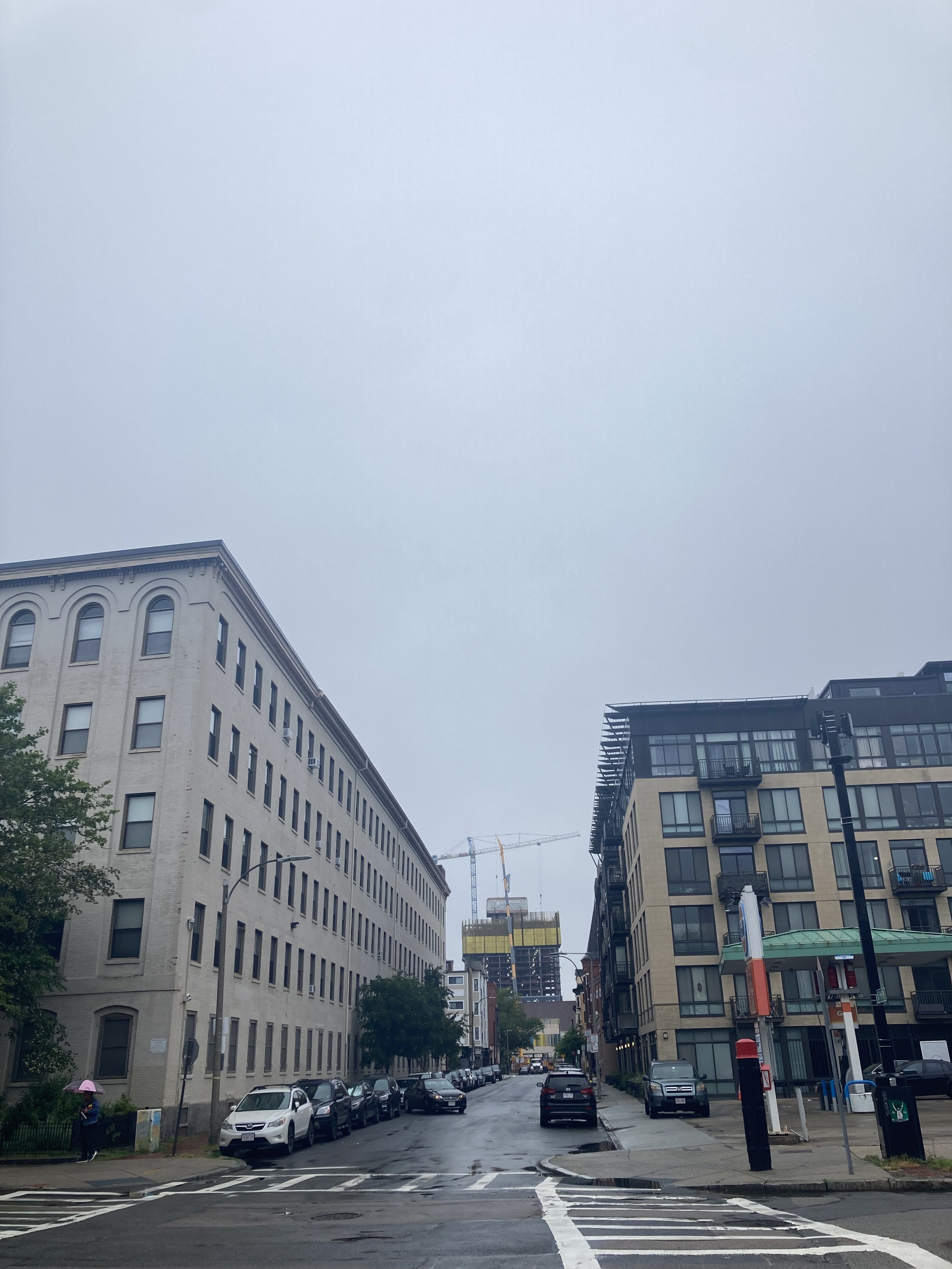 IMG_2826.jpeg