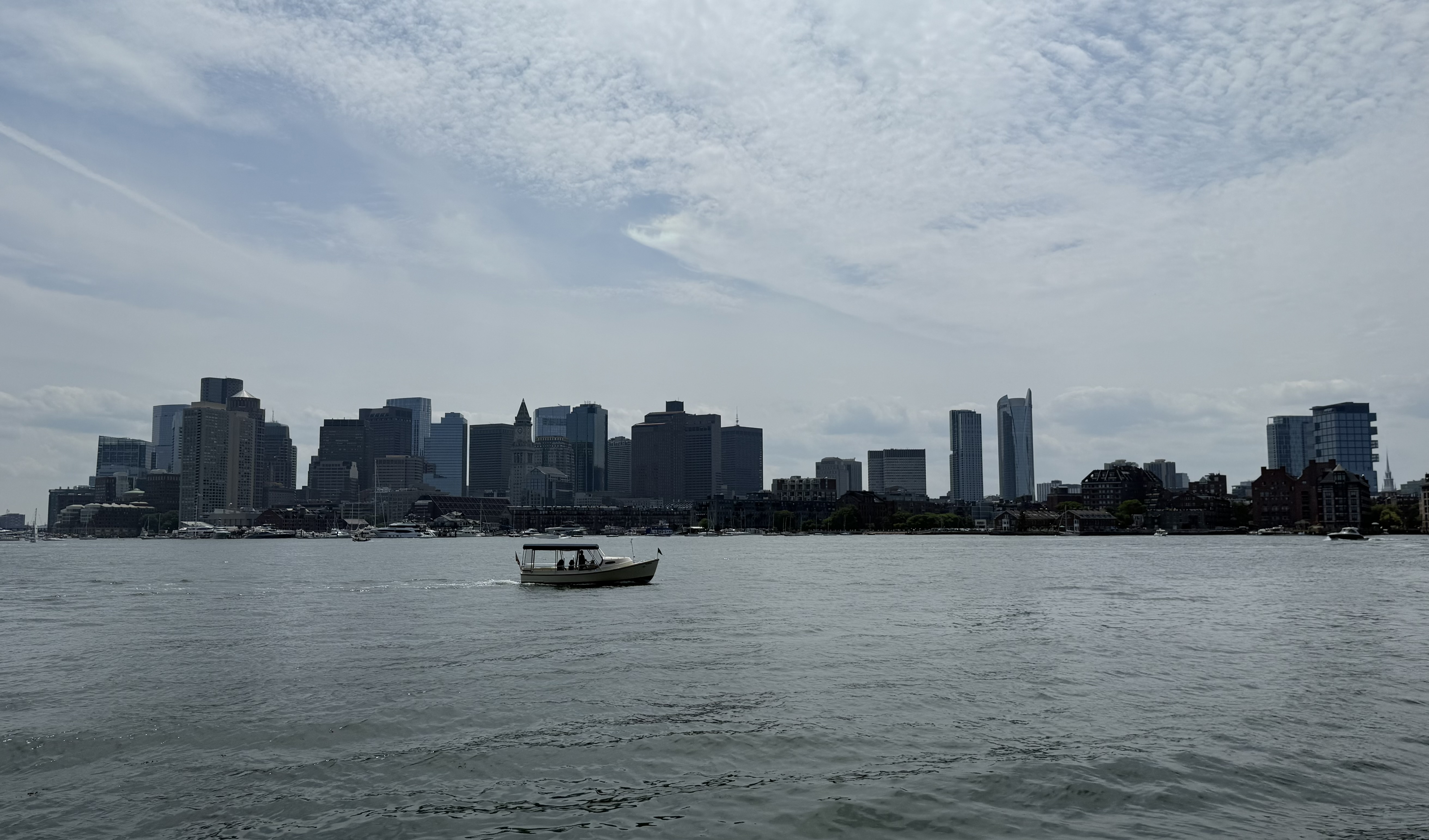 IMG_4133.jpeg