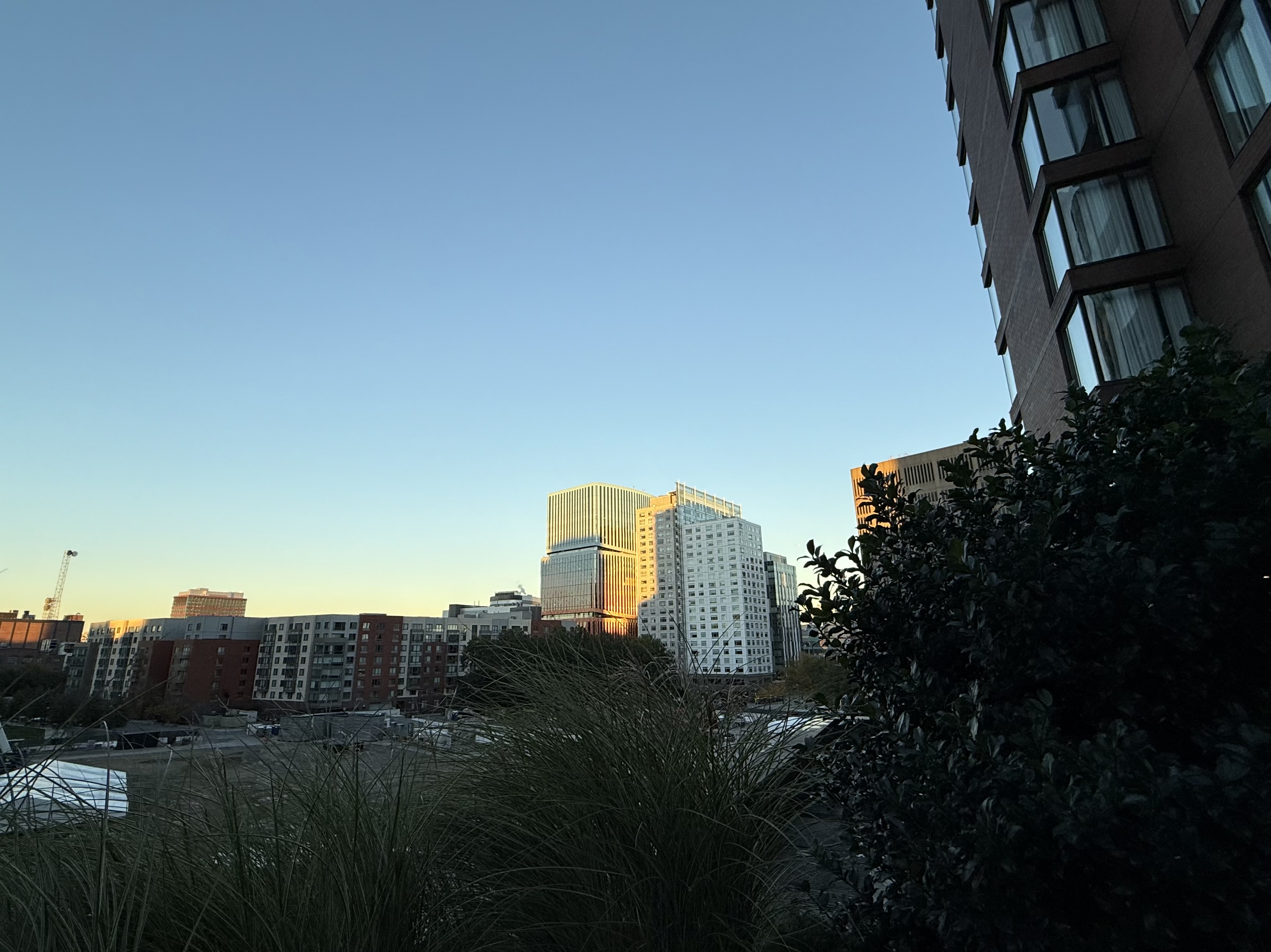 IMG_4704.jpeg