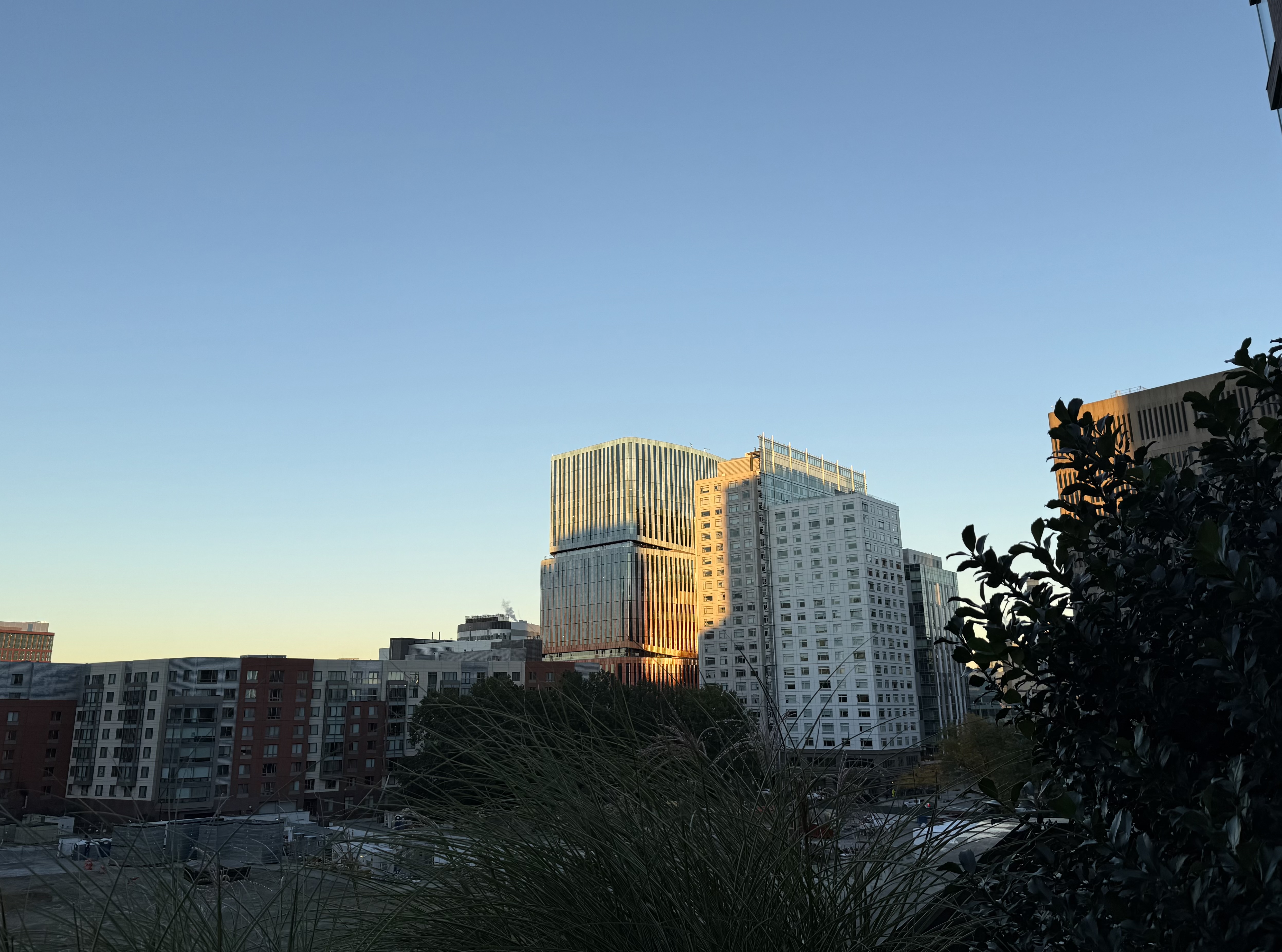 IMG_4705.jpeg