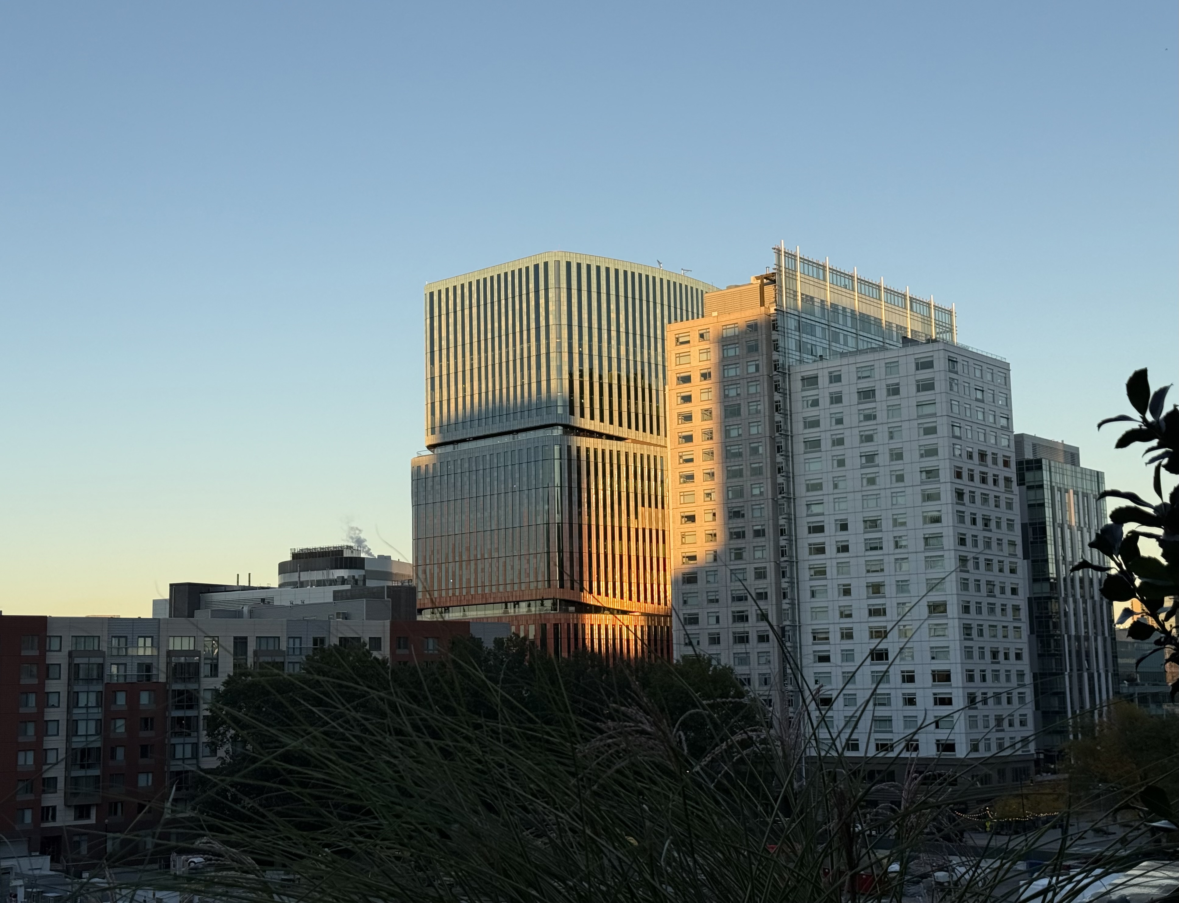 IMG_4707.jpeg