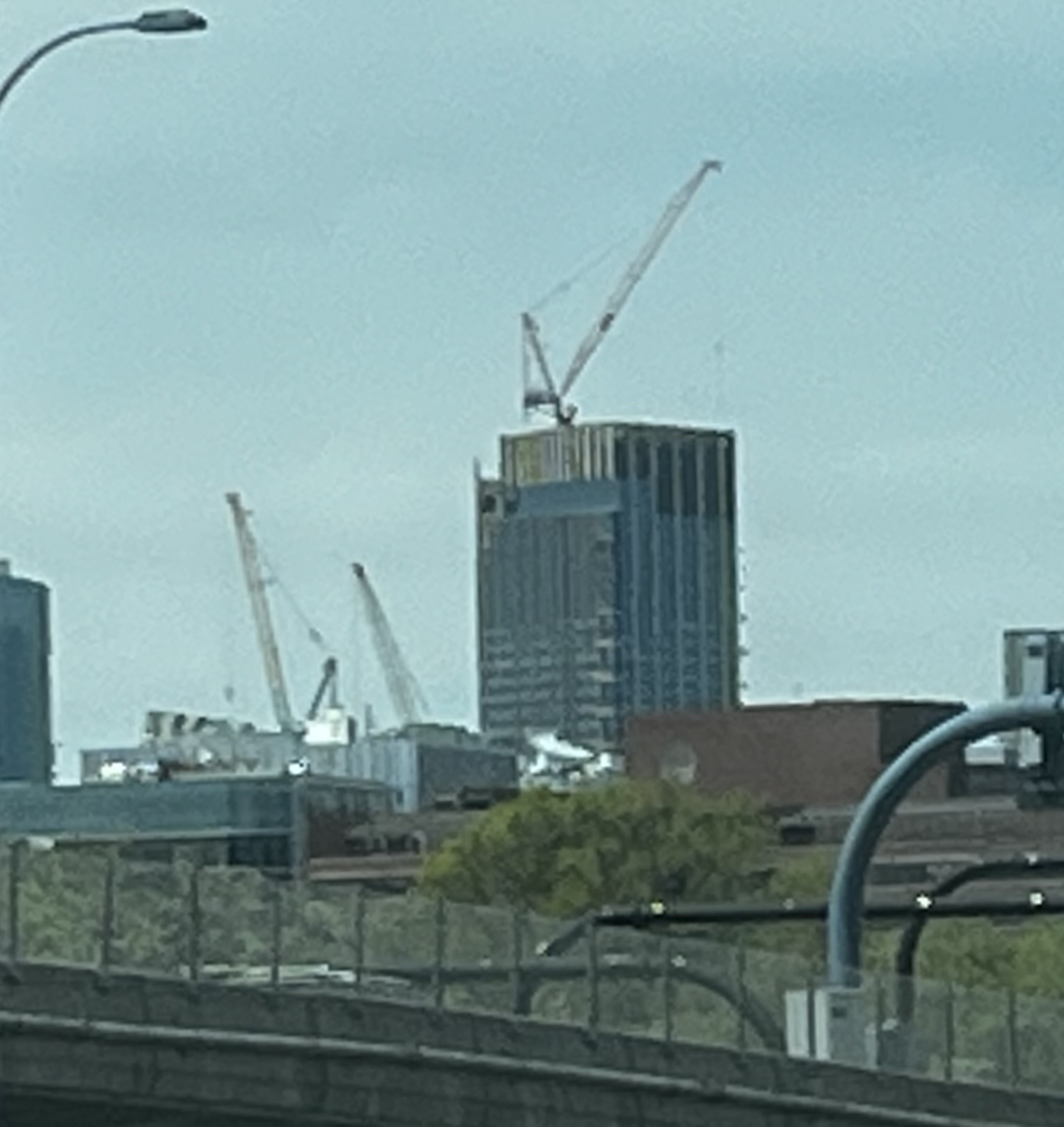 IMG_5500.jpeg