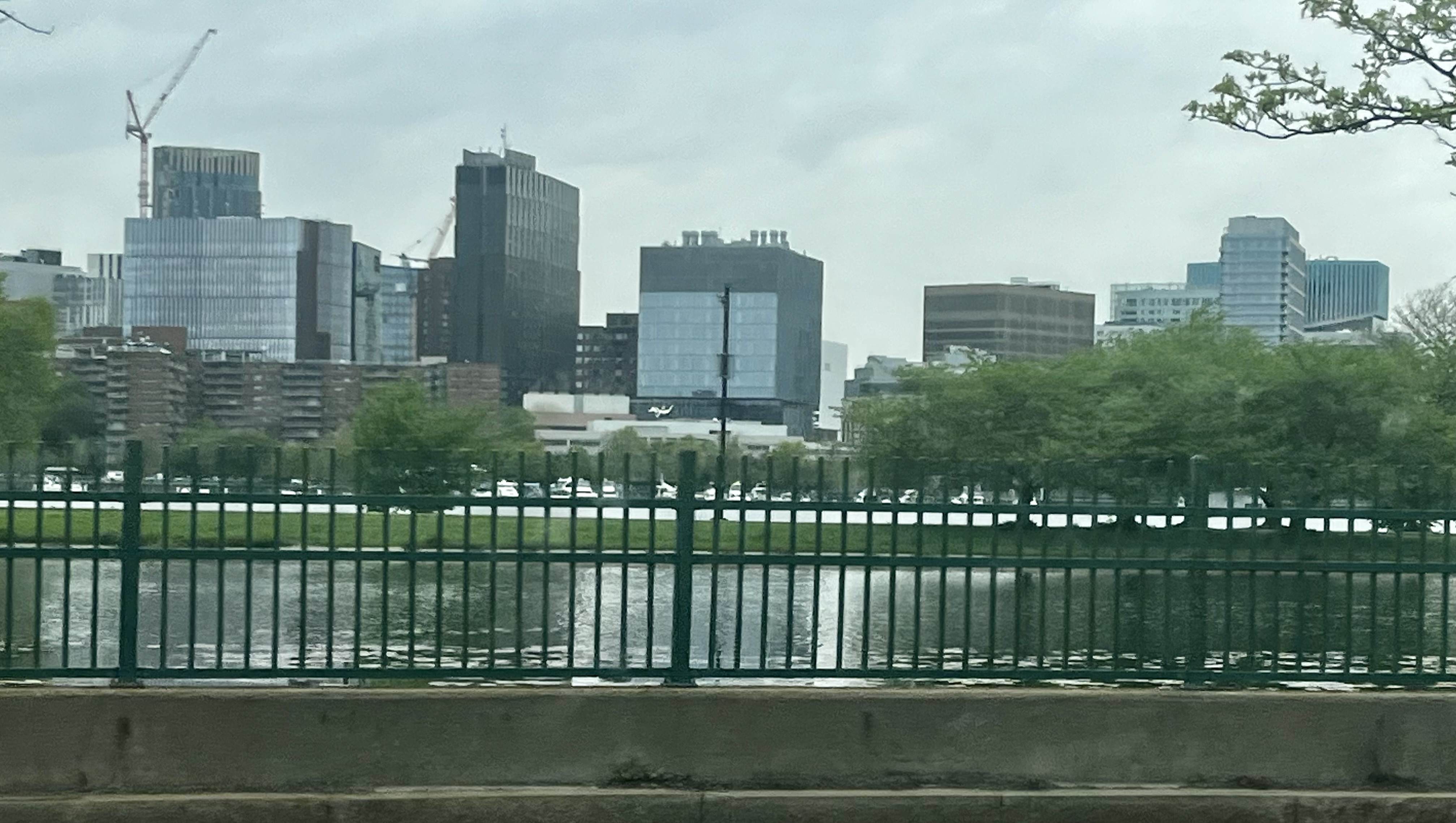 IMG_5511.jpeg