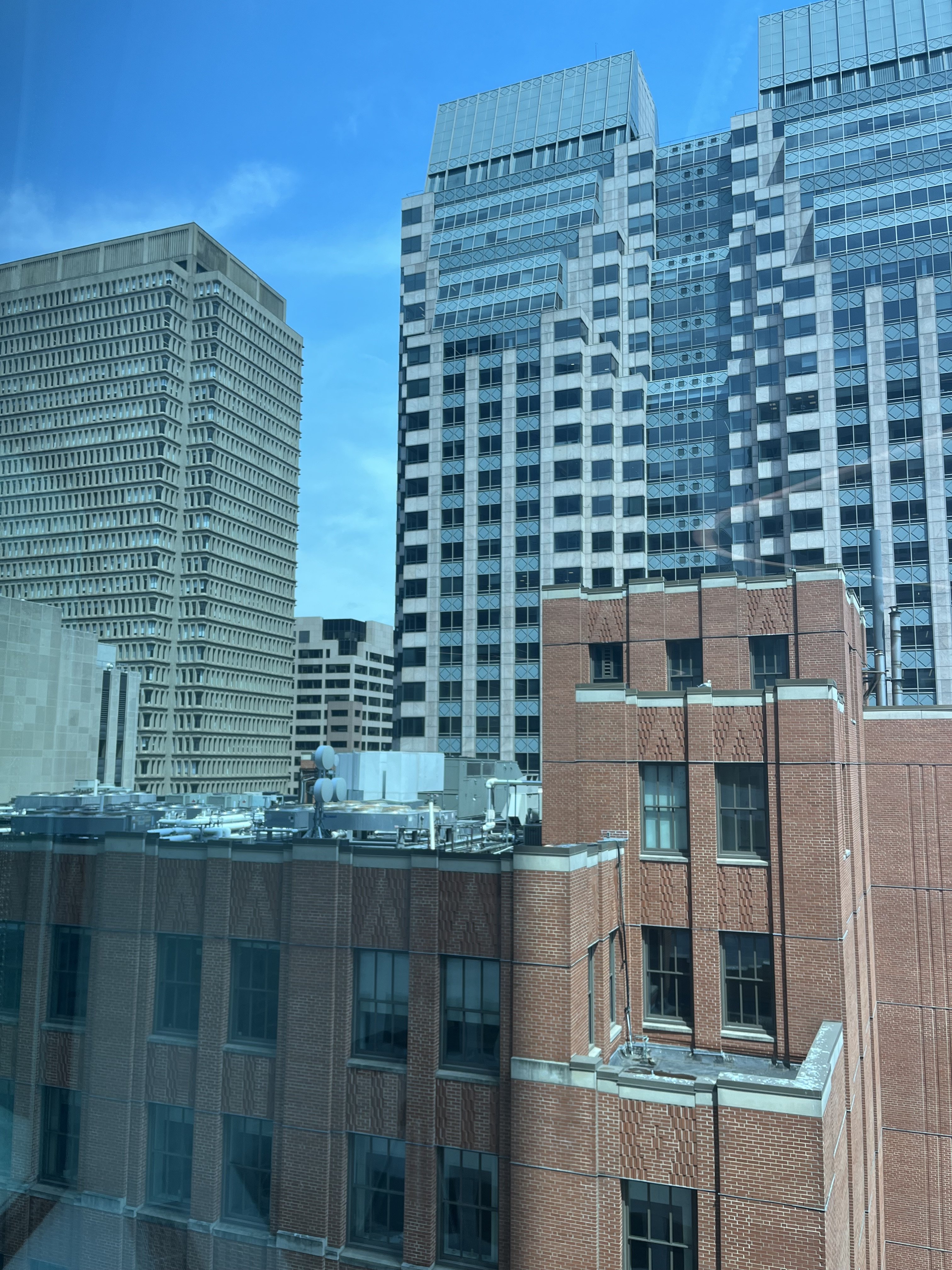 IMG_7342.jpeg