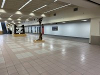 IMG_6447.jpeg