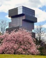 BU CDS in Spring.jpg