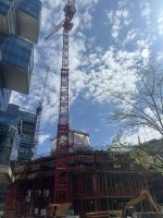 IMG_1587.jpeg