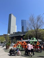 IMG_8691.jpeg