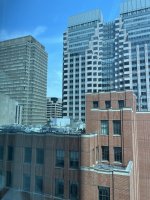 IMG_7342.jpeg