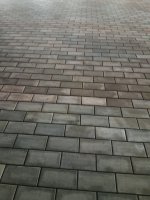 20250426_201555.jpg