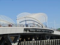 IMG_8055.JPG