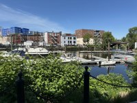 IMG_1575.jpeg