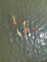 IMG_0671.jpeg