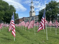 IMG_0903.jpeg