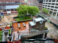 IMG_6175.jpeg