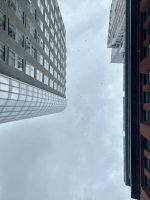 IMG_8208.jpeg