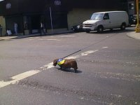 Brasil05.JPG