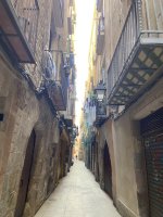 IMG_1238.jpeg