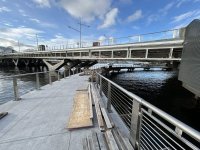 Ped Bridge 1.jpg