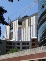 IMG_8296.jpg