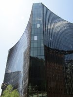 IMG_8370.jpg