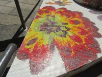 IMG_8377.JPG