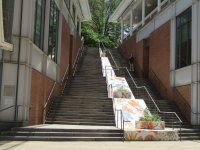 IMG_8378.JPG
