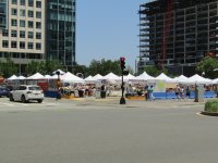 IMG_8407.JPG