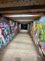 IMG_8947.jpeg