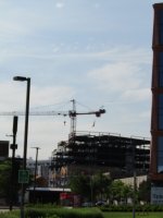IMG_8525.jpg