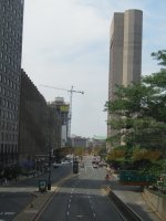 IMG_8679.jpg