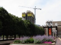 IMG_8672.JPG