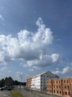 IMG_7835.jpeg