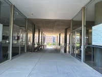 IMG_9073.jpeg