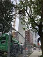 IMG_2176.jpeg